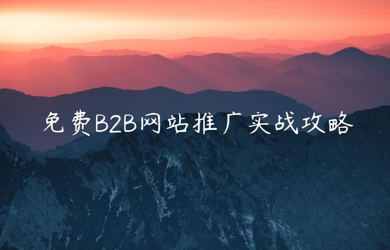 免費(fèi)B2B網(wǎng)站推廣實(shí)戰(zhàn)攻略